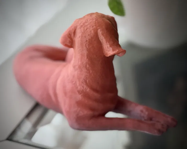 Mô hình Chó và Mèo đang ôm nhau - Image 4