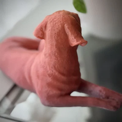 Mô hình Chó và Mèo đang ôm nhau