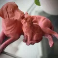 Mô hình Chó và Mèo đang ôm nhau - Thumbnail 5