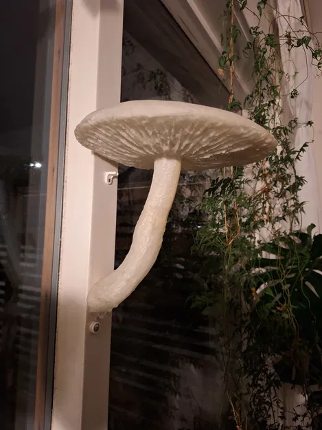 Kệ treo tường hình cây nấm (Lifelike Mushroom Shelf) trang trí nhà - Image 1