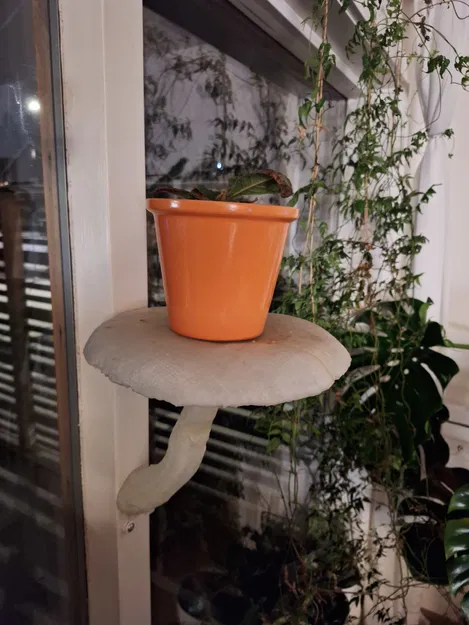 Kệ treo tường hình cây nấm (Lifelike Mushroom Shelf) trang trí nhà - Image 2