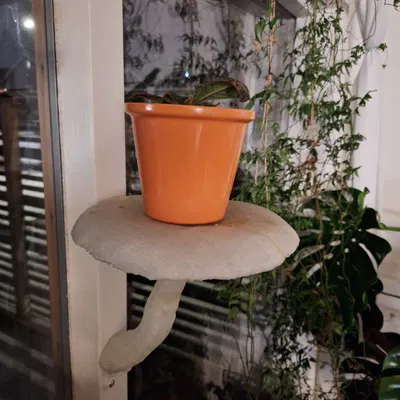 Kệ treo tường hình cây nấm (Lifelike Mushroom Shelf) trang trí nhà