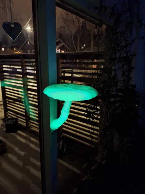 Kệ treo tường hình cây nấm (Lifelike Mushroom Shelf) trang trí nhà - Image 3