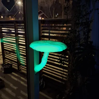 Kệ treo tường hình cây nấm (Lifelike Mushroom Shelf) trang trí nhà