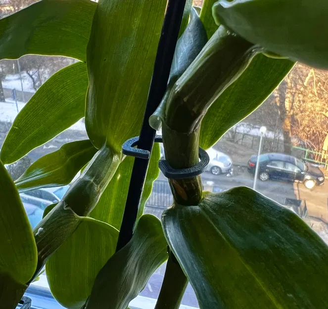 Kẹp đỡ cây trồng - Image 2