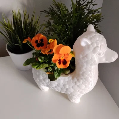 Chậu cây trang trí hình Alpaca - Đồ trang trí in 3D cực đáng yêu