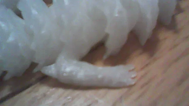 Mô hình Rồng và Thủy quái (Hydra) khớp nối linh hoạt - Image 6