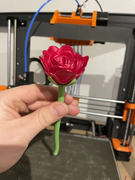 Hoa hồng siêu thực (Thiết kế cuộn) - Image 3