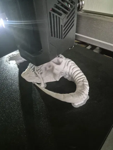 Mô hình 3D Masters of Hardcore (Devil Skull) trang trí ấn tượng - Image 3