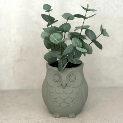 Chậu cây hình Cú Thông Thái (Wise Owl Planter)