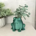 Froggy Planter – Chậu cây hình chú ếch xinh xắn - Thumbnail 1