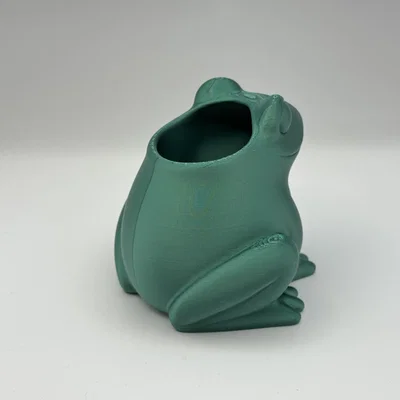 Froggy Planter – Chậu cây hình chú ếch xinh xắn
