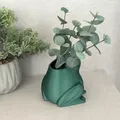 Froggy Planter – Chậu cây hình chú ếch xinh xắn - Thumbnail 6