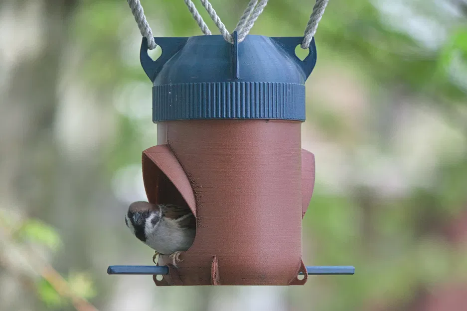 Máng Ăn Cho Chim (Bird Feeder) - Image 1