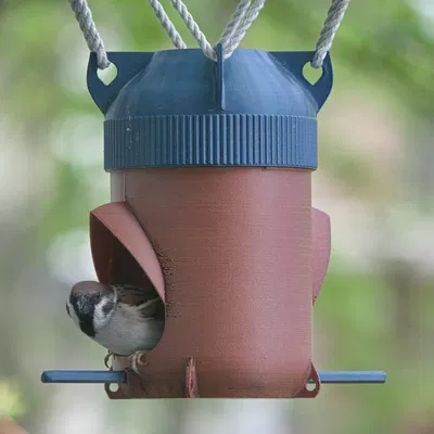 Máng Ăn Cho Chim (Bird Feeder)