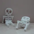 Flexy Skelly - Đồ chơi xương khớp nối linh hoạt - Thumbnail 2