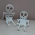 Flexy Skelly - Đồ chơi xương khớp nối linh hoạt - Thumbnail 4