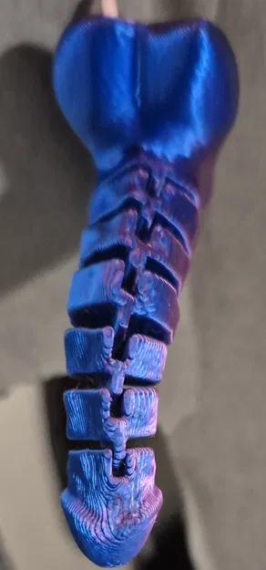 Mô hình dương vật khớp nối có lỗ gắn nam châm - Image 2