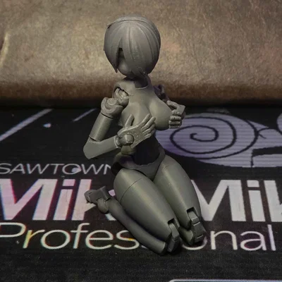 FrameArms13 - Mô hình nhân vật girlpla khớp nối v1 [Bản cơ bản]