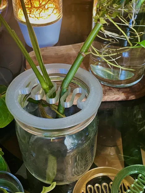 Vòng hỗ trợ cắm cành nhân giống và trang trí hoa - Image 3