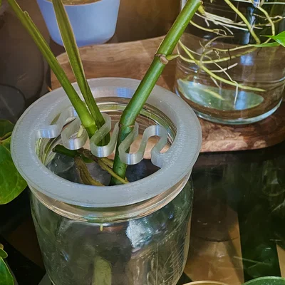 Vòng hỗ trợ cắm cành nhân giống và trang trí hoa