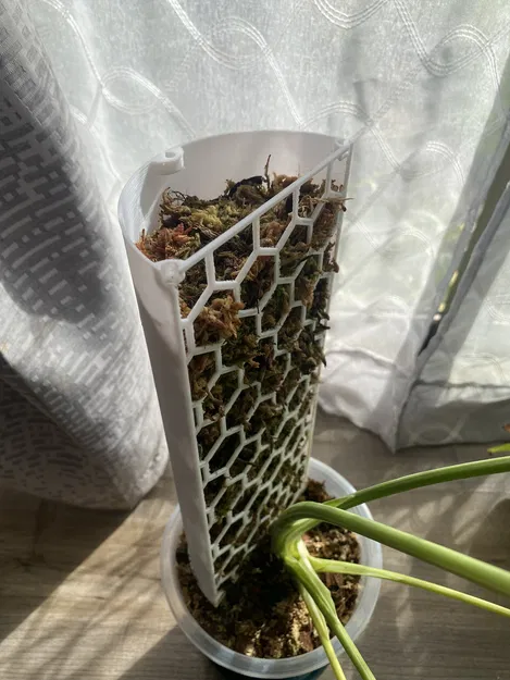 Trụ rêu (Moss pole) cho cây leo - Image 2