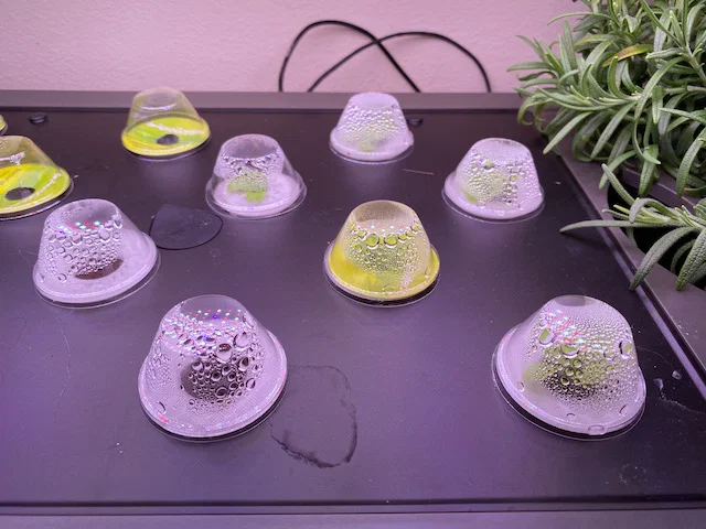 Rọ gieo hạt Aerogarden chắc chắn - Image 2