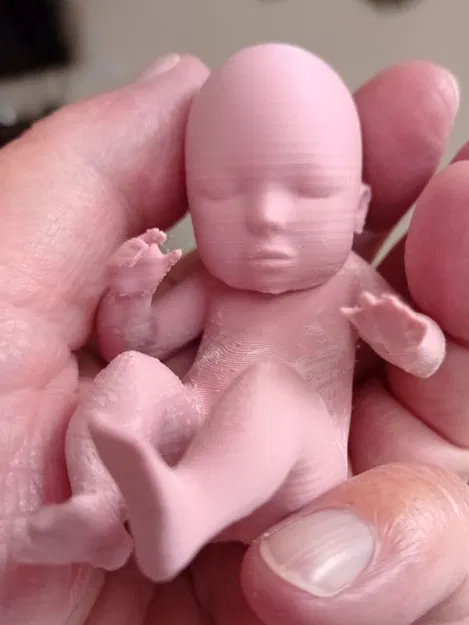 Mô hình Em bé / Bào thai (Baby / Fetus) - Image 1