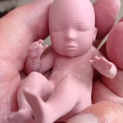 Mô hình Em bé / Bào thai (Baby / Fetus)