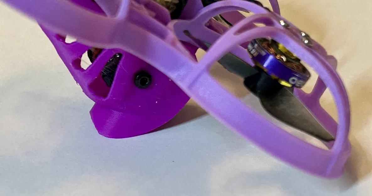 Canopy 75mm Tiny Whoop (Mobula7/Meteor75) cho camera 14x14 ống kính lớn - Image 5