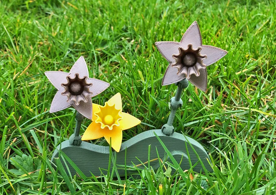 Mô hình hoa thủy tiên (Daffodil) với khớp cầu linh hoạt - Image 2