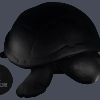 Mô hình rùa nhỏ - Bộ sưu tập thú cưng