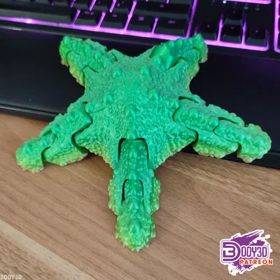 Mô hình sao biển khớp nối linh hoạt (Articulated Starfish) in 3D