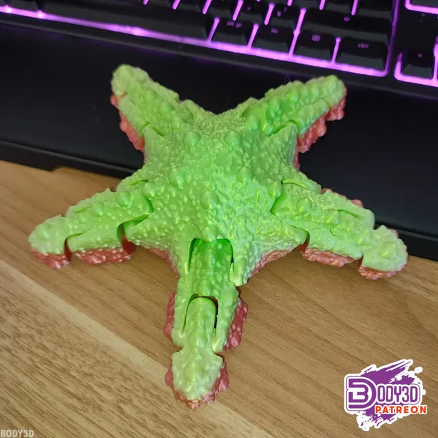 Mô hình sao biển khớp nối linh hoạt (Articulated Starfish) in 3D - Image 4