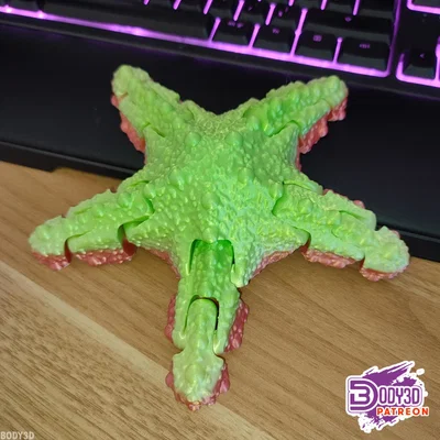 Mô hình sao biển khớp nối linh hoạt (Articulated Starfish) in 3D
