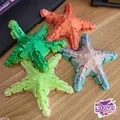 Mô hình sao biển khớp nối linh hoạt (Articulated Starfish) in 3D - Thumbnail 5