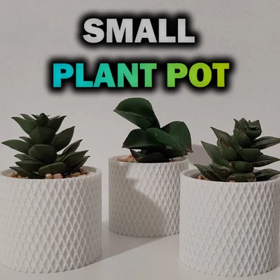 Chậu cây cảnh mini 3D tinh tế trang trí bàn làm việc