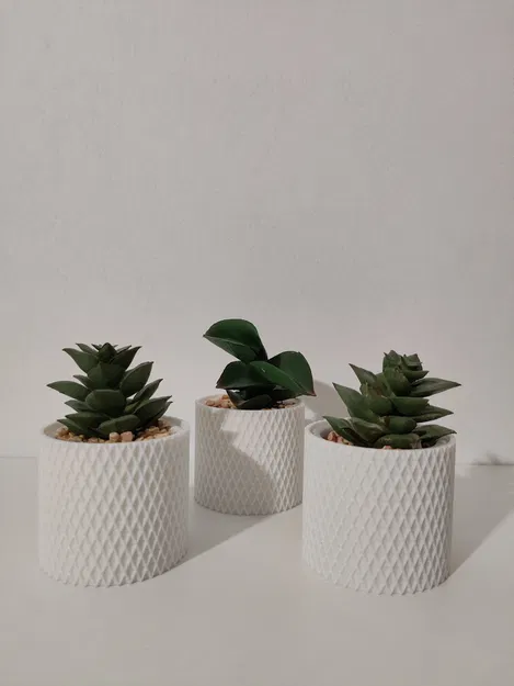 Chậu cây cảnh mini 3D tinh tế trang trí bàn làm việc - Image 2