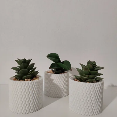 Chậu cây cảnh mini 3D tinh tế trang trí bàn làm việc