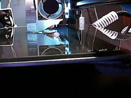 Bông tai vỏ ốc biển 3D (Sea Snail Earrings) - Độc đáo và tinh tế - Thumbnail 3