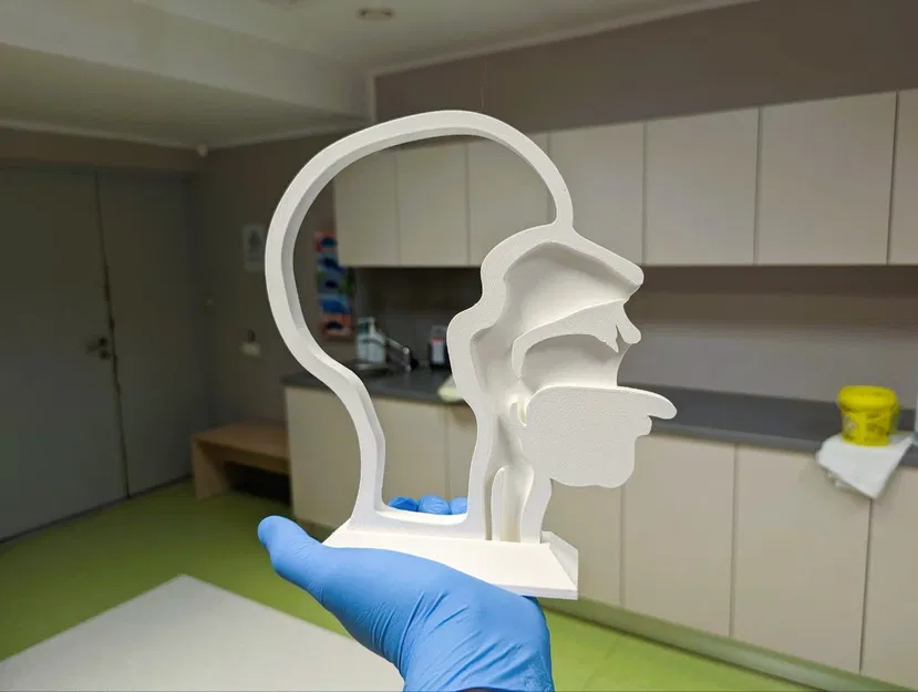 Mô hình huấn luyện kỹ năng lấy mẫu (Swab test task trainer) - Image 1