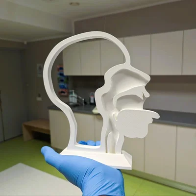 Mô hình huấn luyện kỹ năng lấy mẫu (Swab test task trainer)