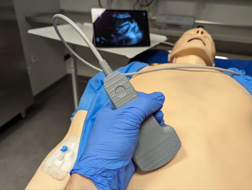 Mô hình đầu dò siêu âm cong (USG Curvilinear Probe) dùng trong mô phỏng y tế - Image 2