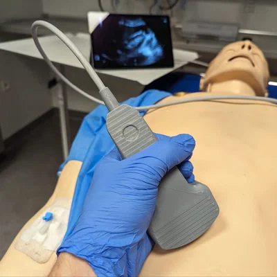 Mô hình đầu dò siêu âm cong (USG Curvilinear Probe) dùng trong mô phỏng y tế