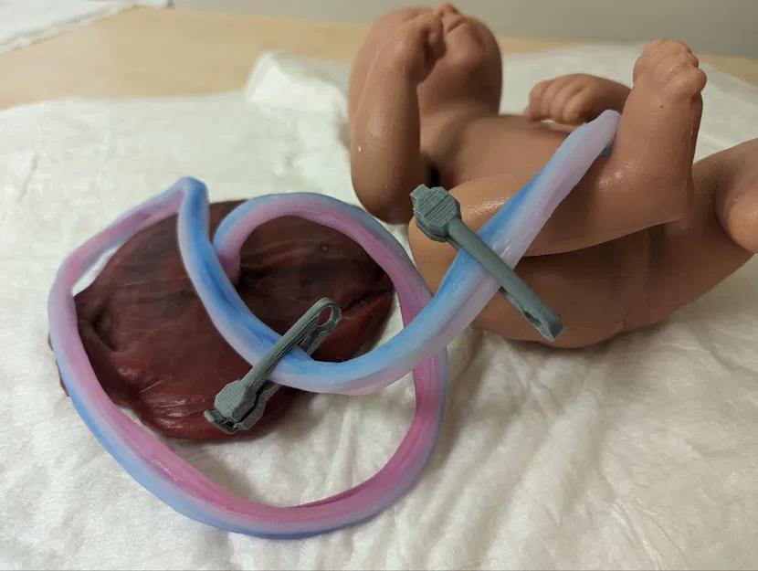 Mô hình kẹp dây rốn dùng cho mô phỏng y tế - Image 4
