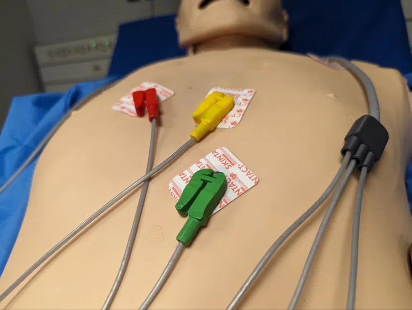 Mô hình kẹp điện cực ECG dùng cho mô phỏng y tế - Image 1