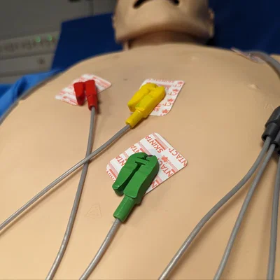 Mô hình kẹp điện cực ECG dùng cho mô phỏng y tế