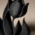 Mô hình trang trí Tulip Decor - Thumbnail 2
