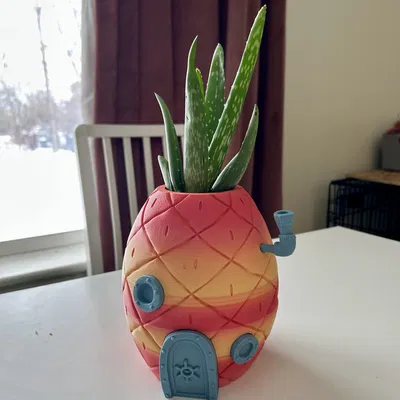 Chậu cây hình ngôi nhà dứa Spongebob