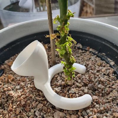Phễu tưới nước đa điểm cho chậu cây